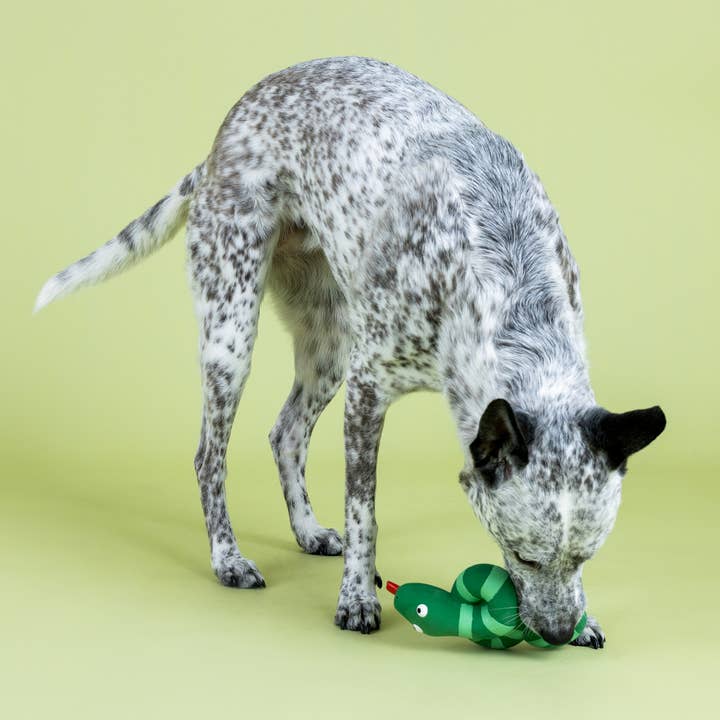 Petshop by Fringe Studio - Wholesale Pet Squeaky Toy - Dog - KNOTTY BY NATURE LATEX DOG TOY