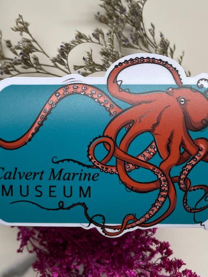 Polvo do Museu Marinho de Calvert por atacado de A Dresser Drawer