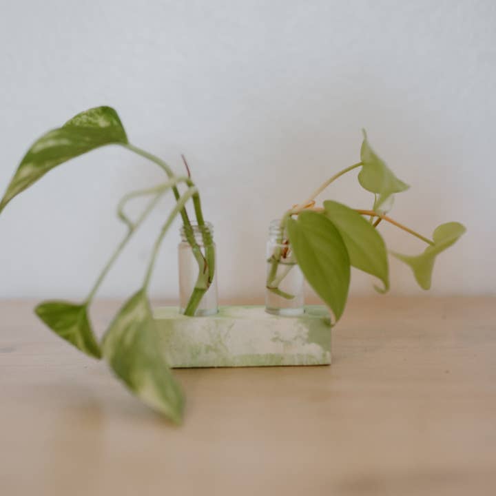 The Plant Committee - Wholesale Vase - 2 Vial Propagation Station Flower Bud Vase1