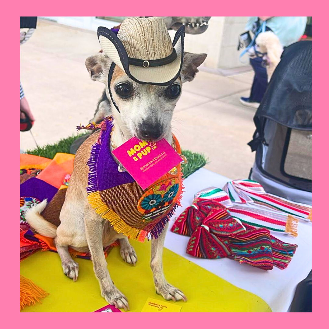 Mom And Pup Co. - Wholesale Hoed voor honden - Hond - Cowboy Huisdier Hoed - Kattenhoed, Hoeden voor Honden, Hondenhoed1