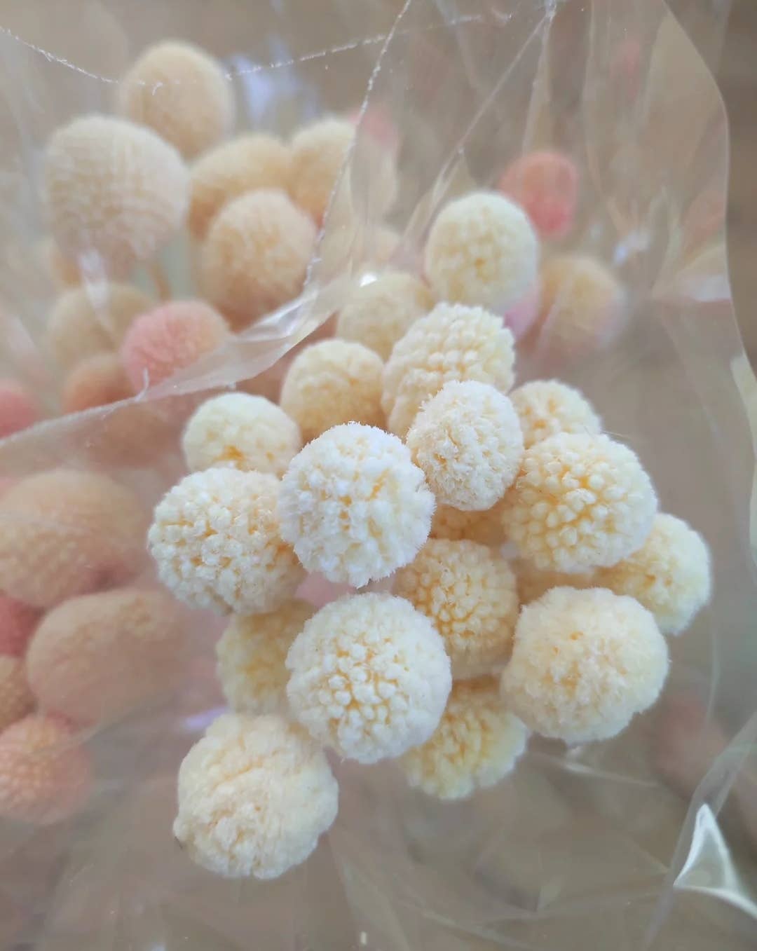 Kenty Home - Wholesale Dried/Pressed Flowers - Dried flower bouquet crespedia2