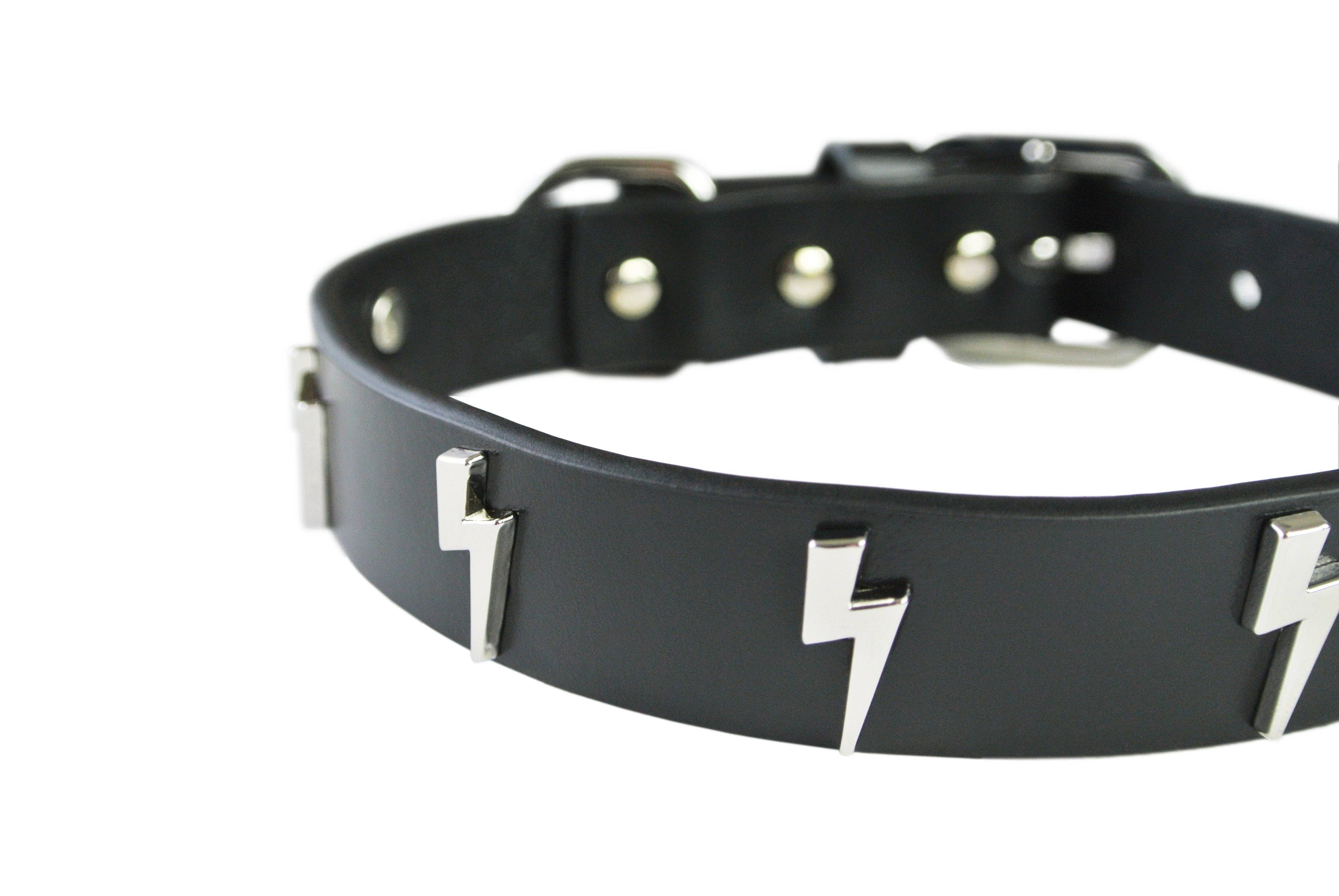 eye of dog - Wholesale Pet Collar - Dog - Lightning Bolt Collar3