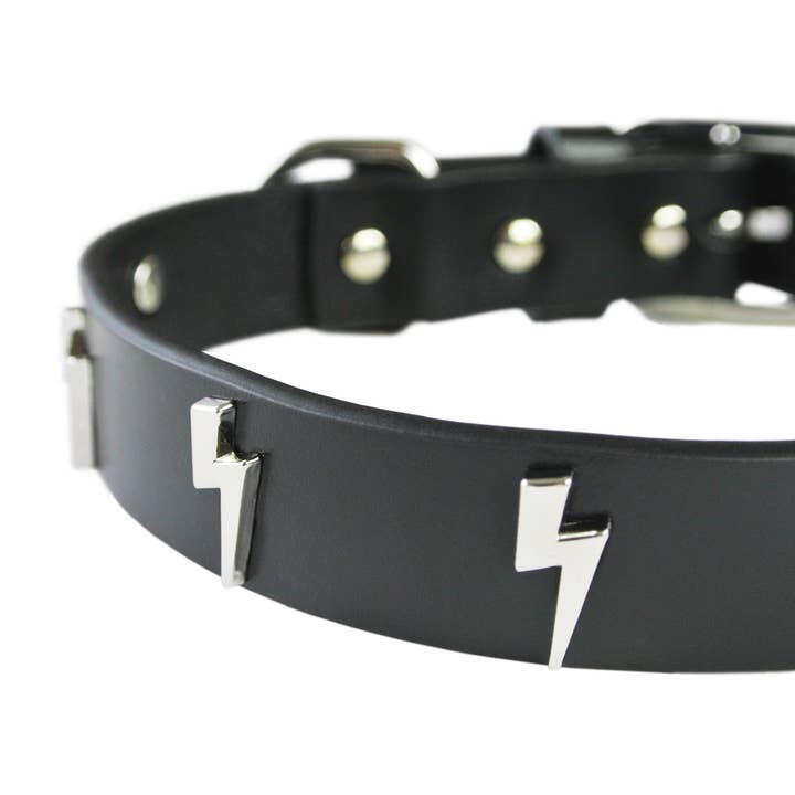 eye of dog - Wholesale Pet Collar - Dog - Lightning Bolt Collar3