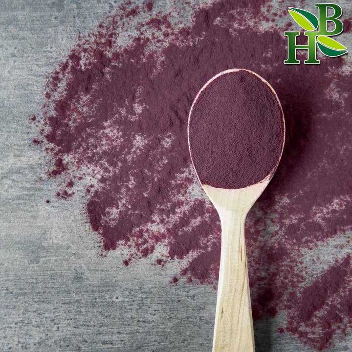 Herb To Body - Wholesale Protein/Superfood Powder - Elderberry Powder 4oz