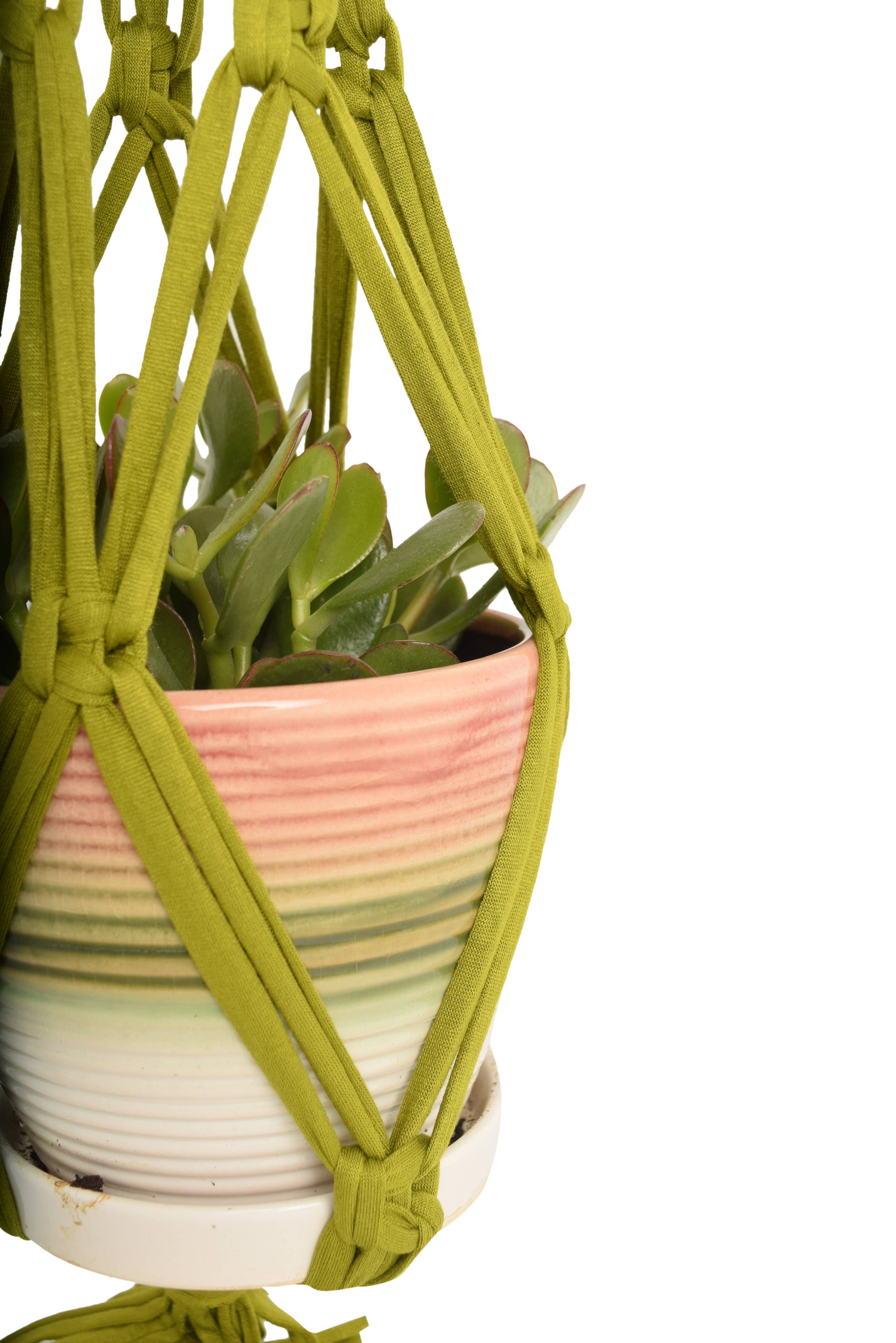 Shreds + rerope - Wholesale DIY Craft Kit - Eco DIY Macrame Plant Hanger Kit6