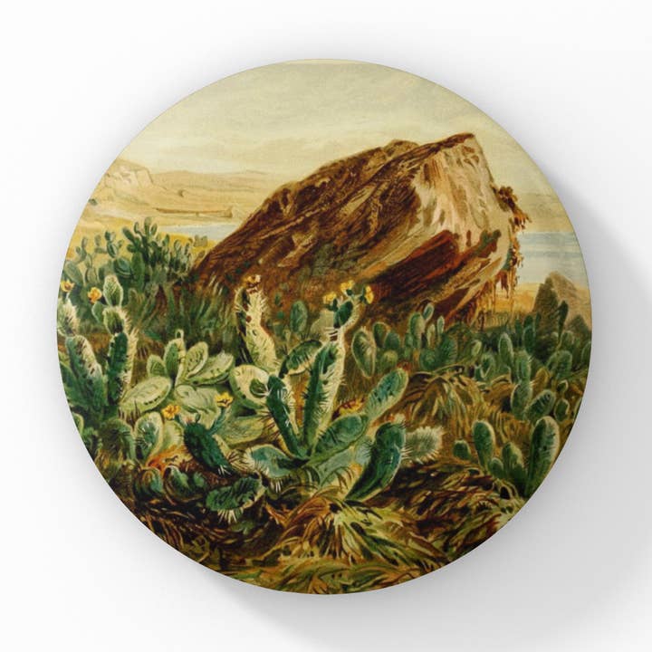 Bouton épingle paysage désertique, Porte-clés désert, Aimant désert pour la vente par NatureCuts