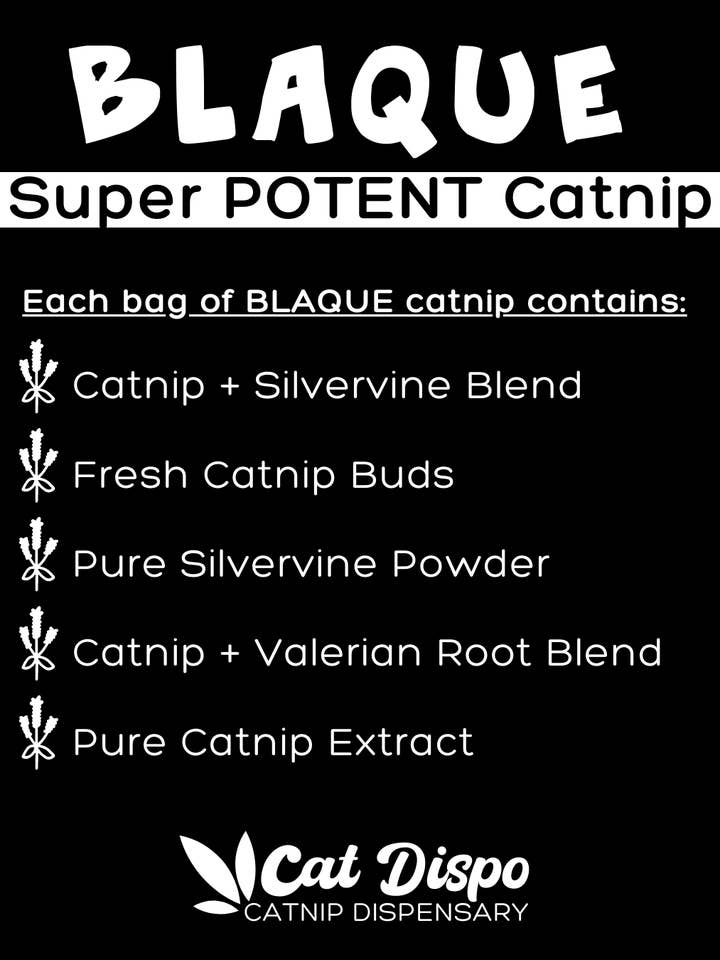 BLAQUE: The STRONGEST Catnip Blend Available for wholesale by Cat Dispo