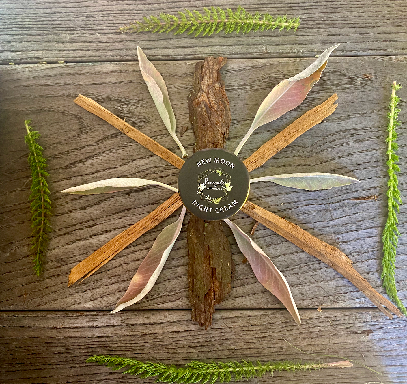 Renegade Botanicals - Wholesale Night Cream - New Moon Night Cream1