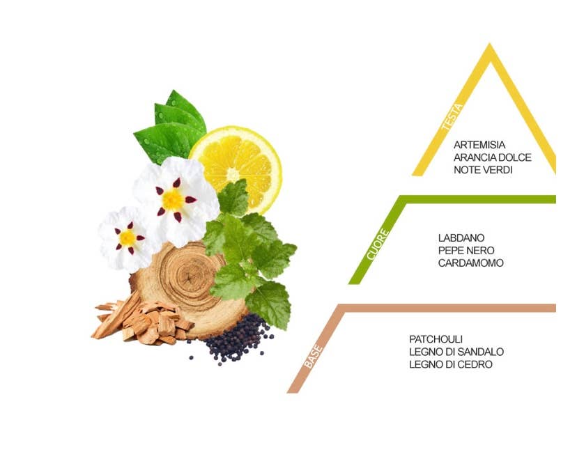 Be Fragrances - Wholesale Fragrance Set - Black Pepper and Cardamom Room Fragrance2