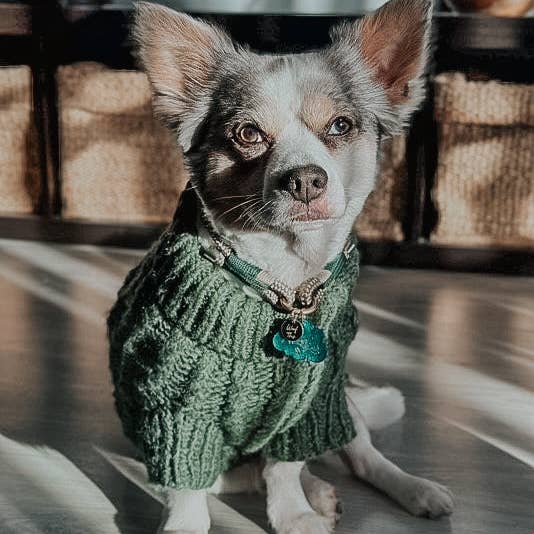 SASSY WOOF - Wholesale Pet Sweater - Dog - Pet Cable Knit Sweater - Dark Green14