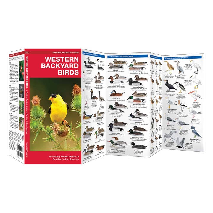 REMOVED BRAND - Wholesale Nature & Outdoors - Western Backyard Birds Nature Guide1