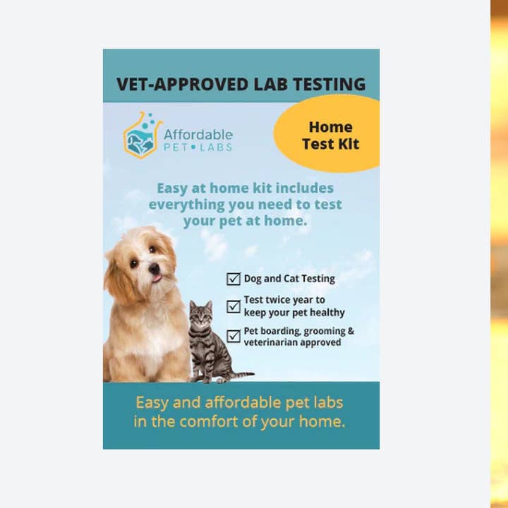Easy Home Kit Affordable Pet Labs Skin Culture Test (Dogs) for wholesale by Affordable Pet Labs