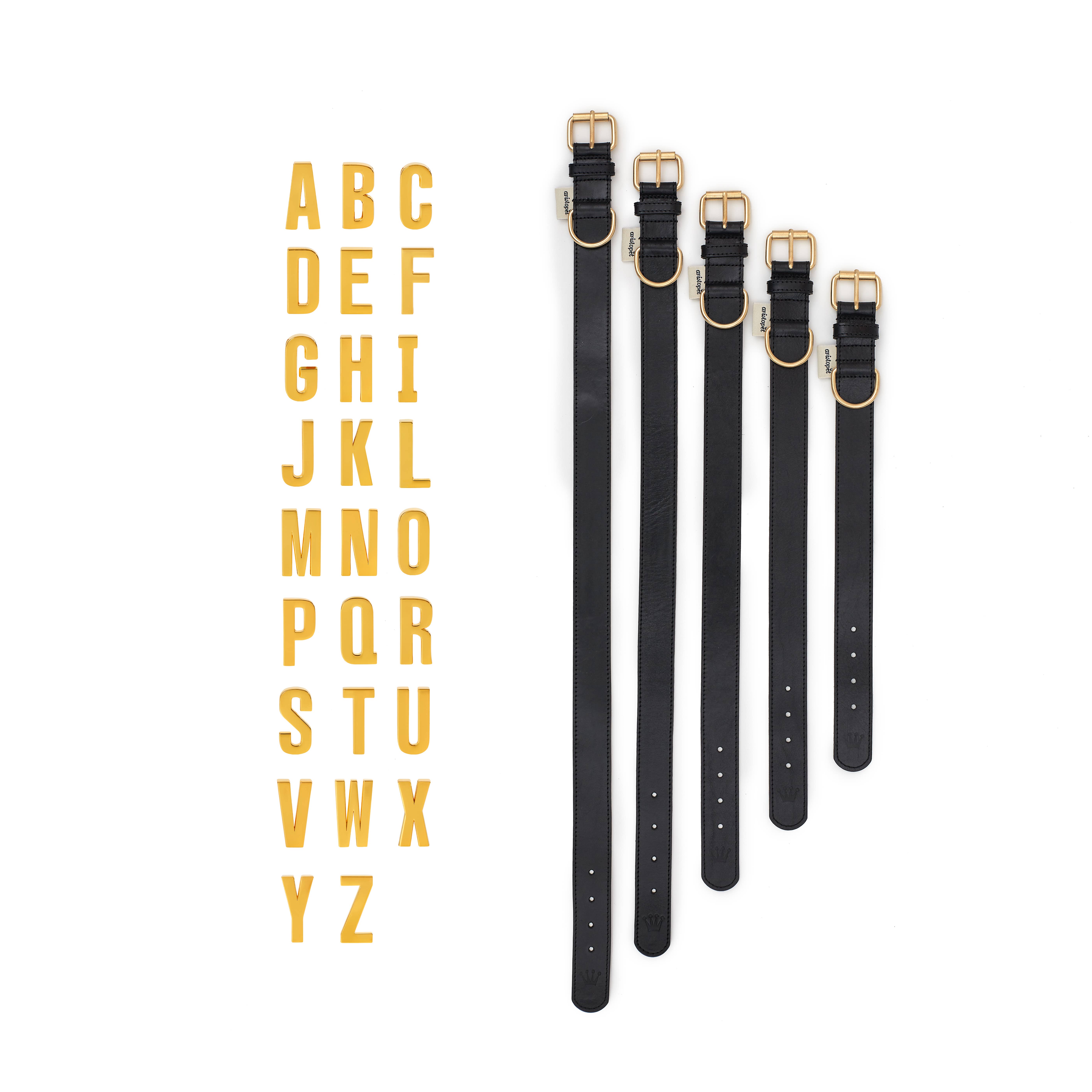 ARISTOPET - Wholesale Pet Collar - Dog - ANSELMO COLLAR4