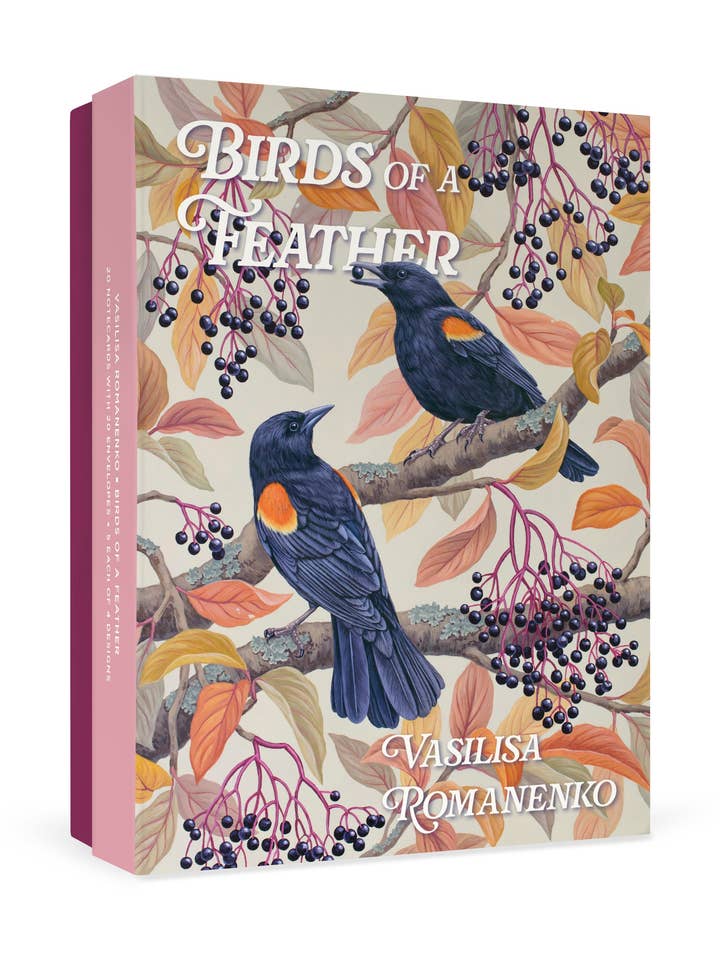 Vasilisa Romanenko: Birds of a Feather Boxed Notecard Assortment for wholesale by Pomegranate