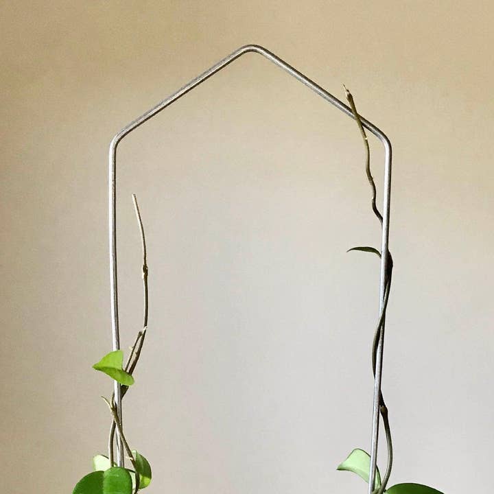 Steel Pointed Arch Trellis for Plants for wholesale by On Ya Garden