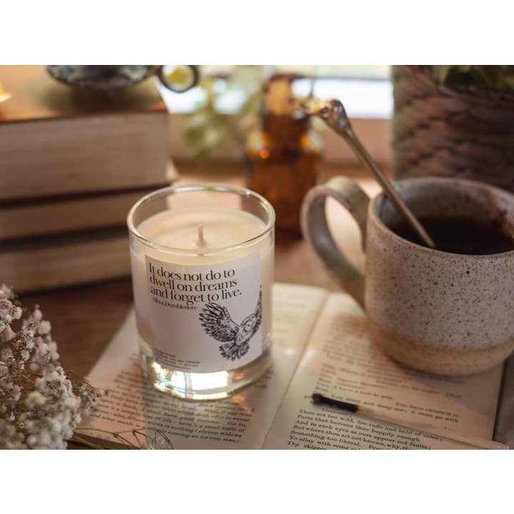 Candles from Oxford - Wholesale Jar/Filled Candle - Albus Dumbledore Candle Gift - Wizard Owl Potter Book