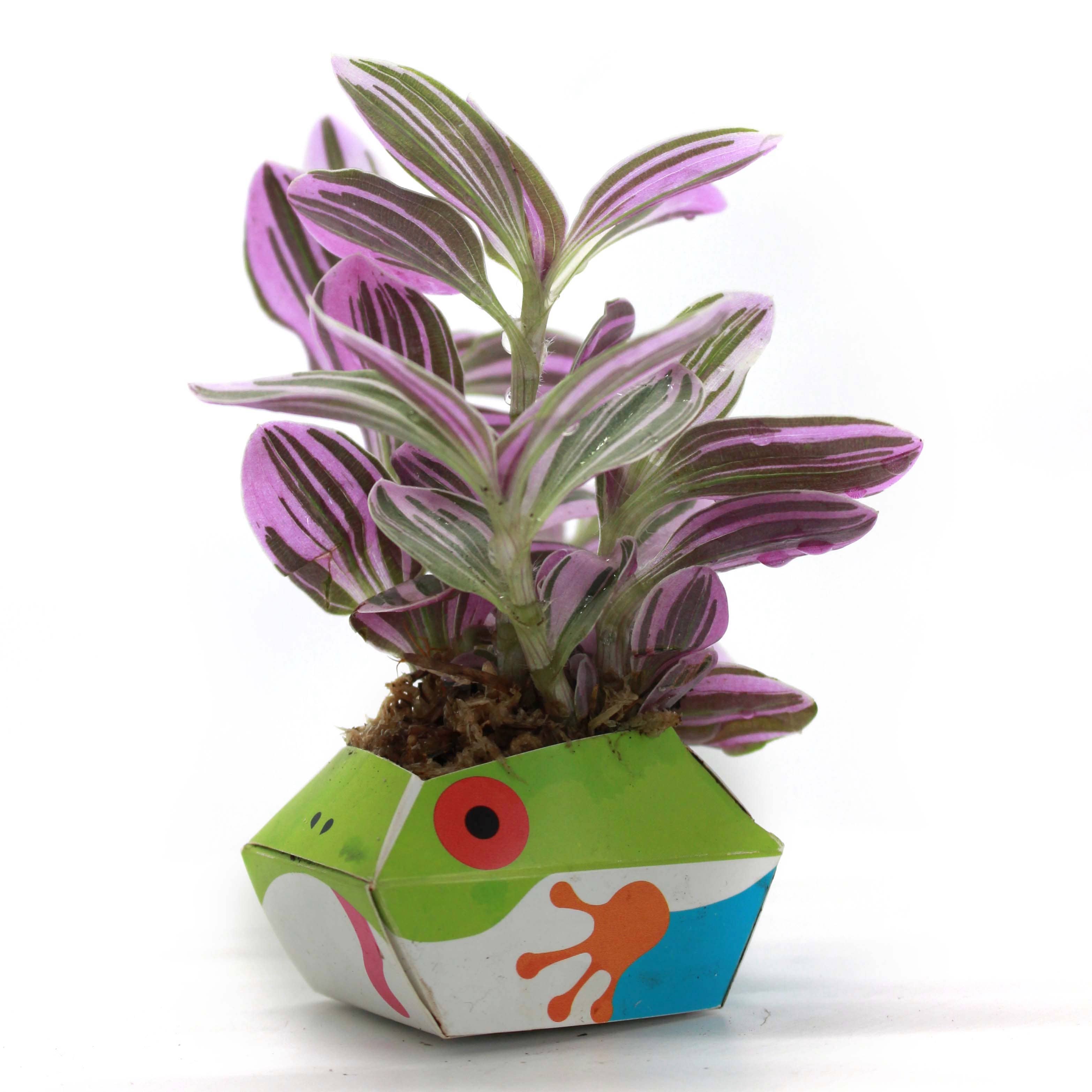 OriBon - Wholesale DIY Craft Kit - 3 OriBon - Rainforest animals collection6