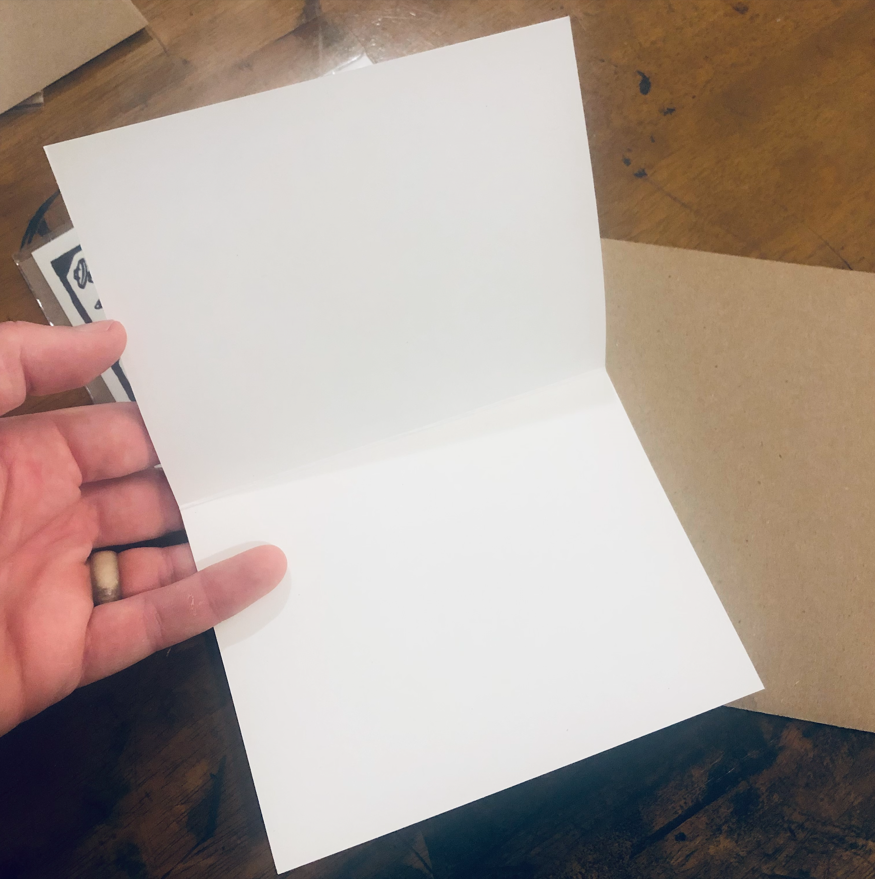 Critter Butts - Wholesale Everyday Greeting Card - Live Fast Eat Trash - 100% Recycled Greeting Card, Raccoon2