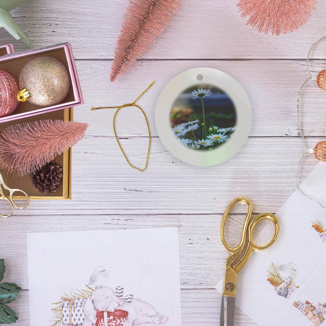 3dRose – wholesale Prydnad – 3dRose, Savannah, Georgia. Klunga av prästkragar i Forsyth Park, prydnad5