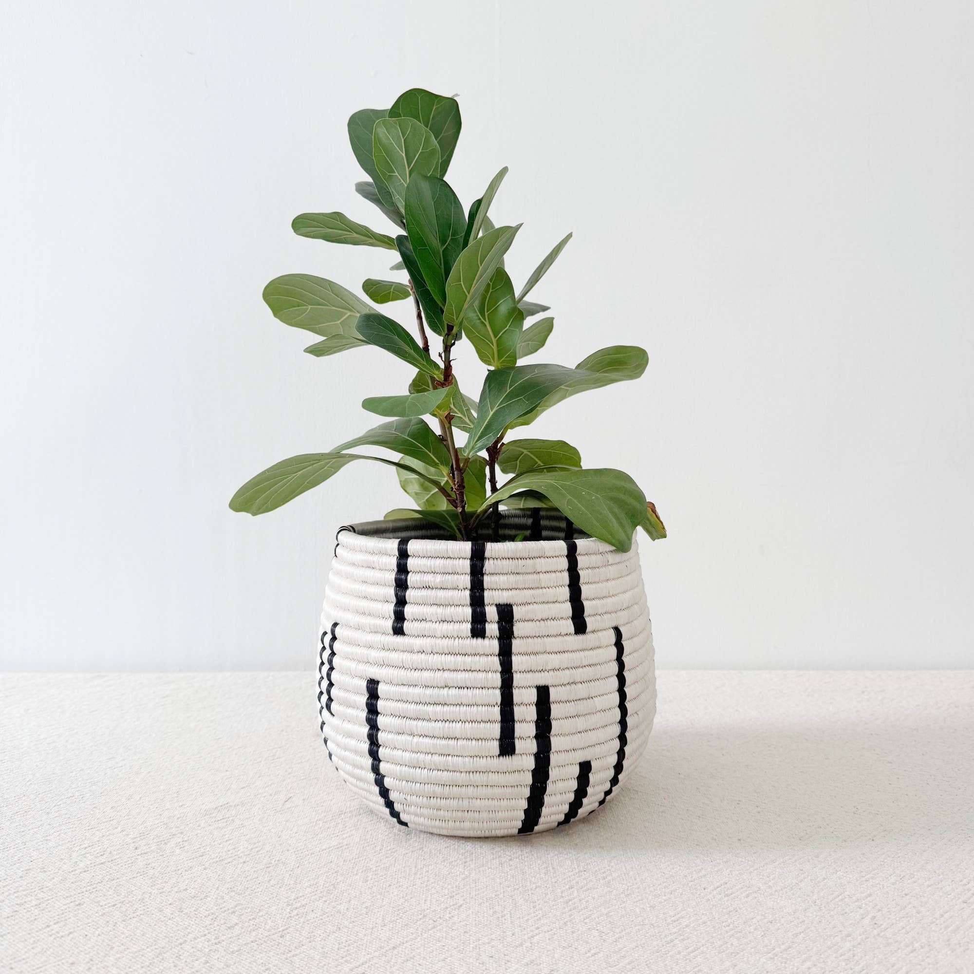 Amsha - Wholesale Plant Pot - Honey Pot Basket: Mugano0
