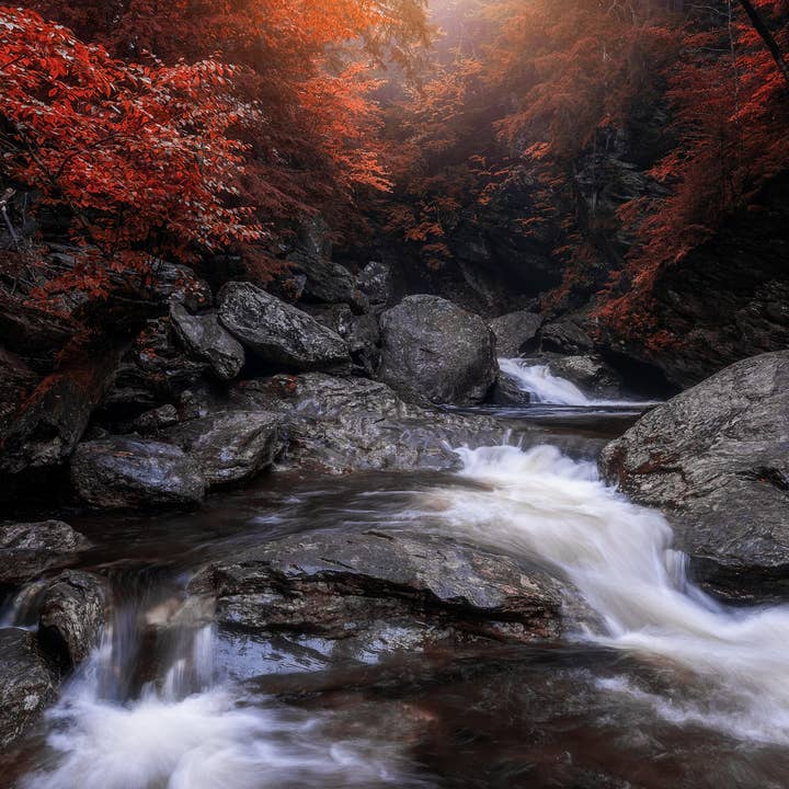 Stowe Falls for wholesale by Erica Joy Photography