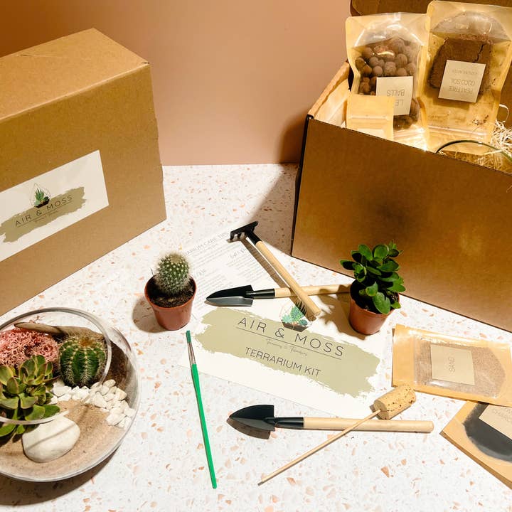 'The Custom' Terrarium Kit - Succulents & Cacti and other Purchase wholesale preserved sheet moss. Free returns & net 60 terms on Faire trending on Faire.