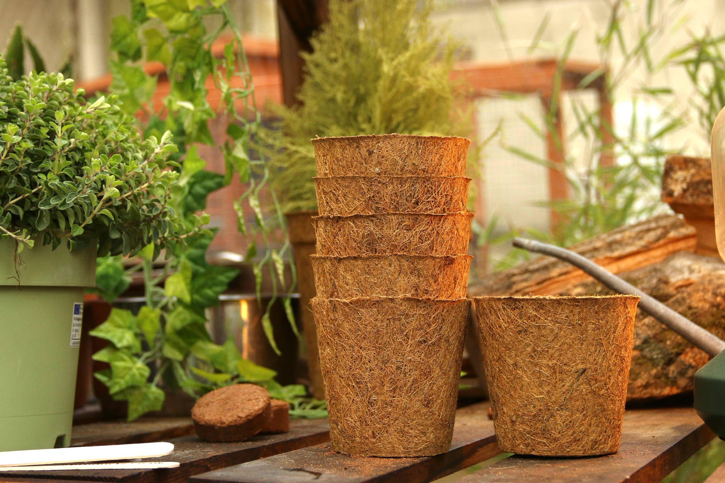 CoirProducts.co.uk of Salike Limited – wholesale Plant pot – 10 Cm Coir Pots | Biodegradable Plant Pot | 600mL Volume6