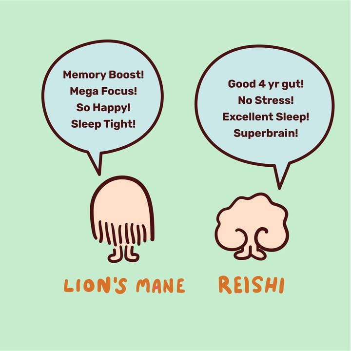 Wunderground - Wholesale Health/Detox Tea - Dream Supply Mushroom Instant Tea (10-Serving Carton)1