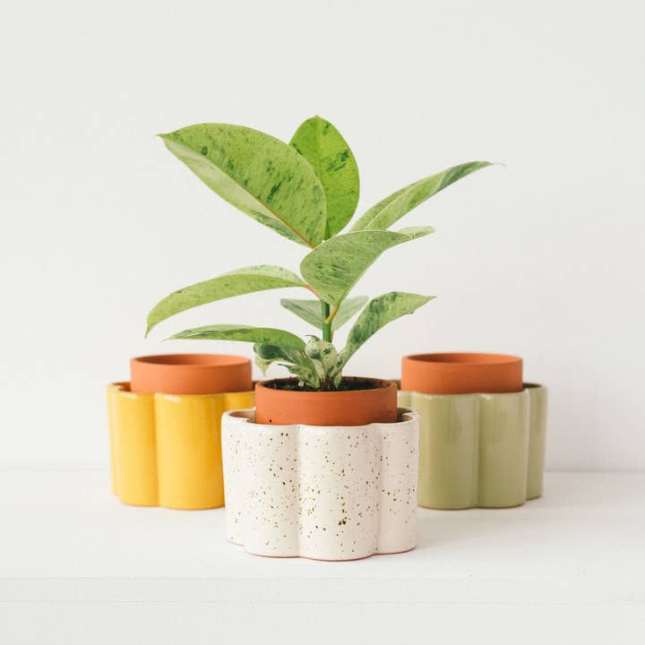 Pepin - Wholesale Plant Pot - Self-watering pot Paula - Mustard yellow