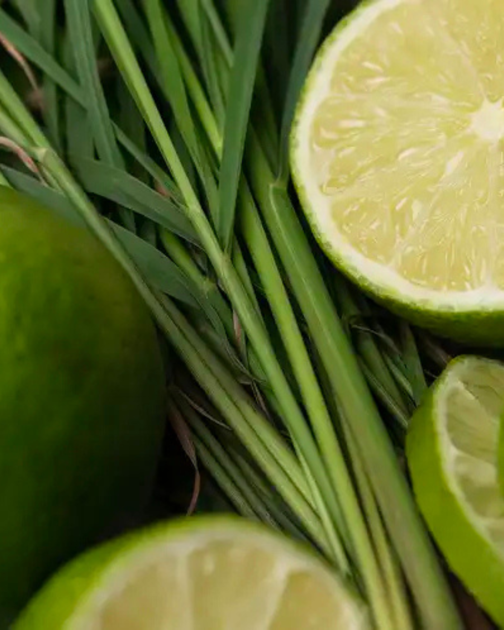 Bode+Ev - Wholesale Jar/Filled Candle - Lemongrass + Lime | Citrus & Herbal Soy Candle + Room Spray2