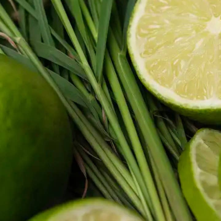 Bode+Ev - Wholesale Jar/Filled Candle - Lemongrass + Lime | Citrus & Herbal Soy Candle + Room Spray2