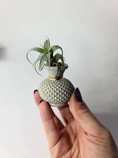 Nat Small Concrete Vase | Dried Flower Air Plant Holder for wholesale by Geoform Designs