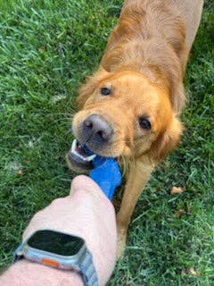 Flexifetch - Wholesale Pet Chew Toy - Dog - “S” Stick Toy – The Big River2