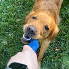 Flexifetch - Wholesale Pet Chew Toy - Dog - “S” Stick Toy – The Big River2