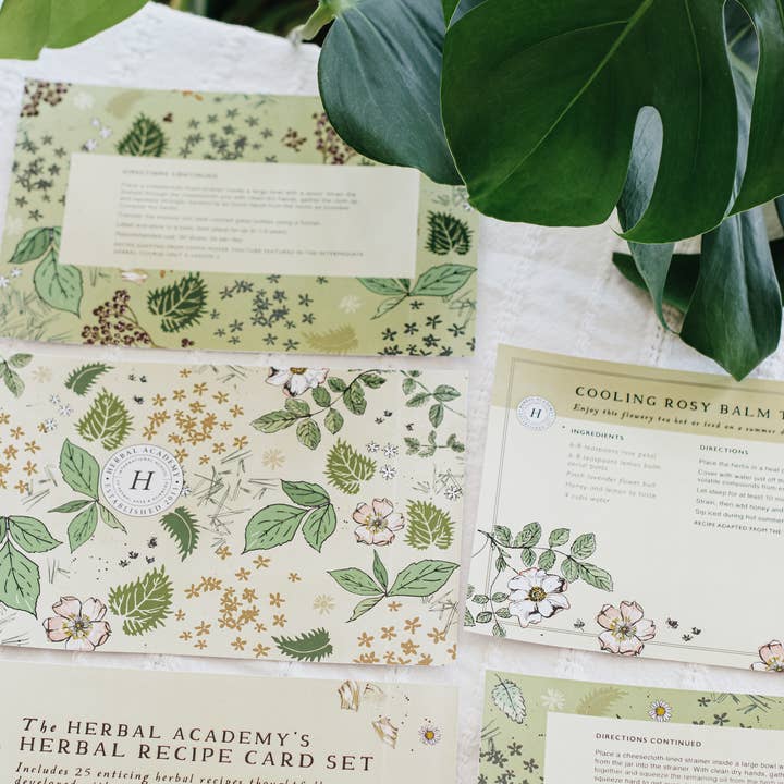 Herbal Academy - Wholesale Recipe Card - Herbal Recipe Cards - Set of 25