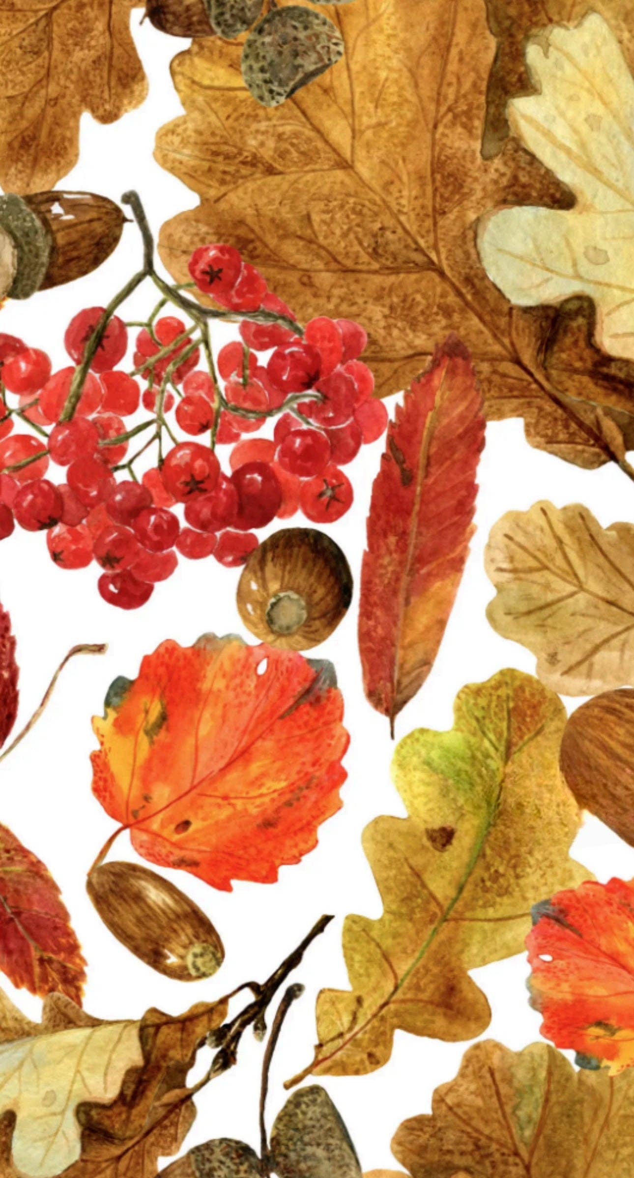 Altoonastore - Vente Serviettes jetables - Feuillage d'automne - Serviette d'invité imprimée automne - Action de grâce1