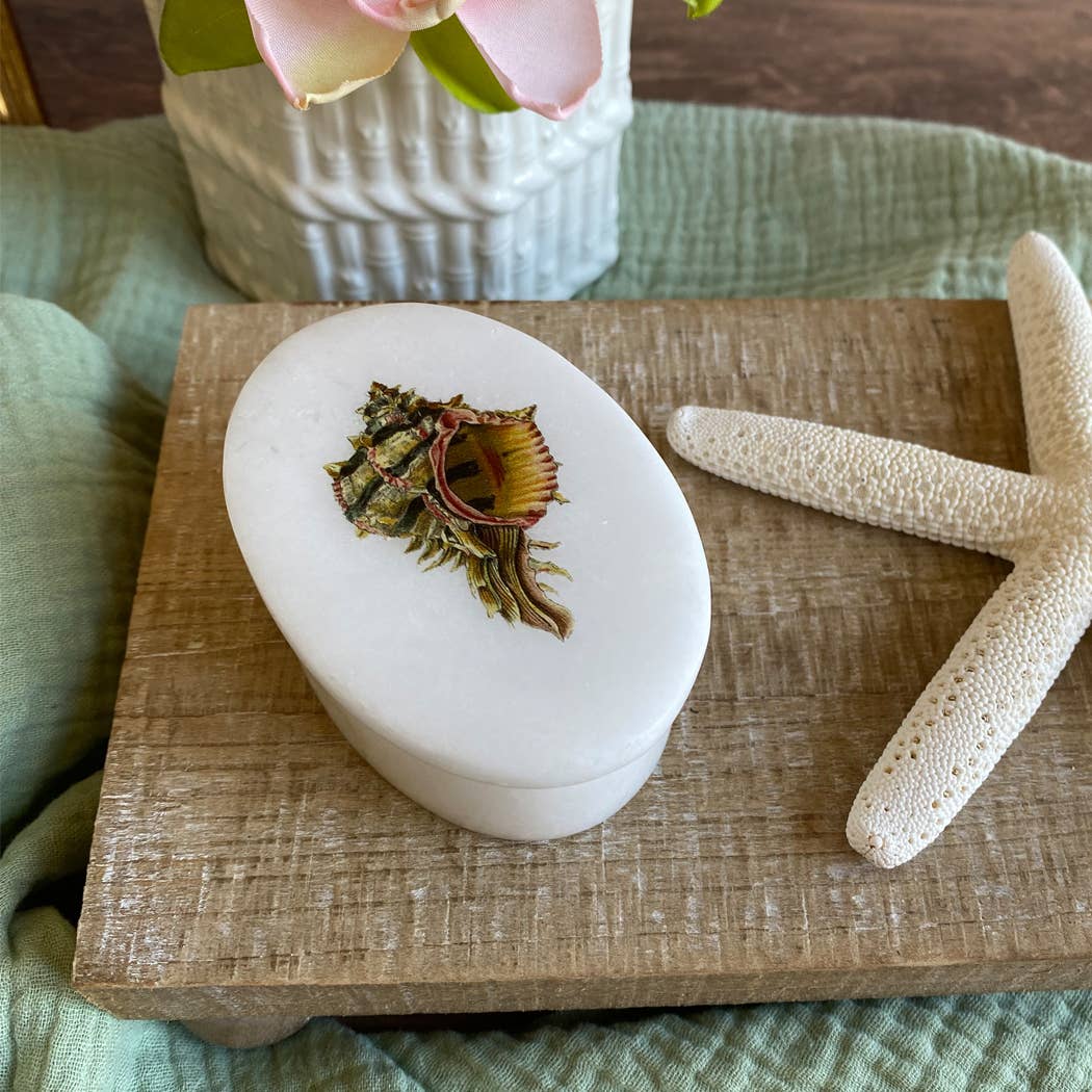 Madison Bay Co. - Historical Home Decor Reproductions – Großhandel Schmuckschatulle/-Organizer – Conch-Muscheln Weiße ovale Speckstein-Schmuckdose, 3"2