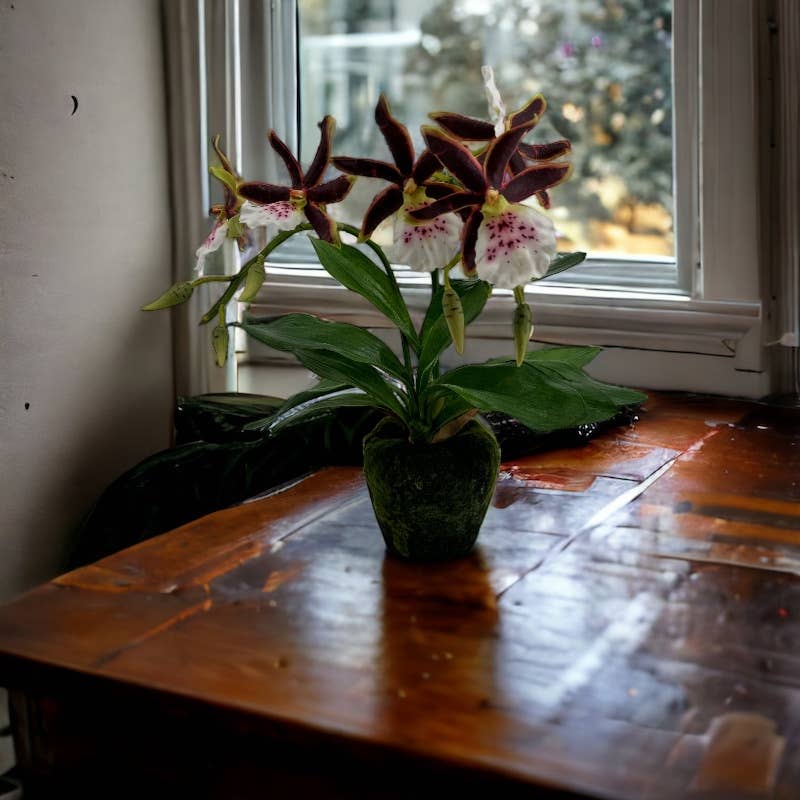 Floratexx - Wholesale Artificial Flowers - zygo orchid in soil 43 cm brown-pink1