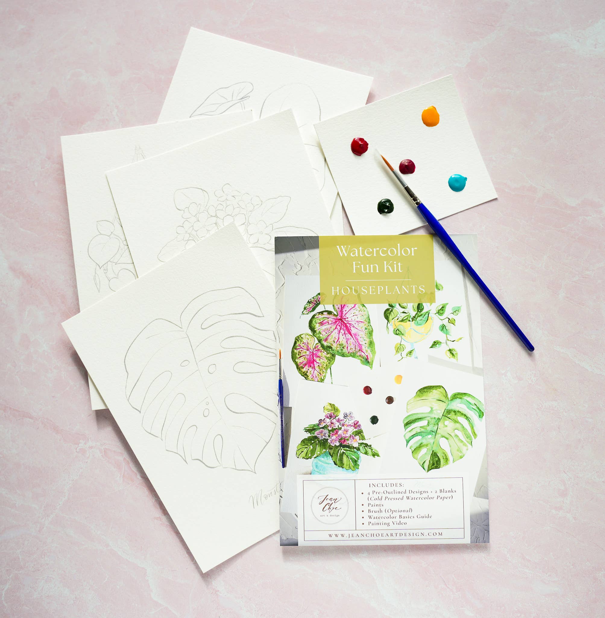 Jean Choe Art & Design - Wholesale DIY Craft Kit - Houseplants Watercolor Painting Kit with Paint & Brush8
