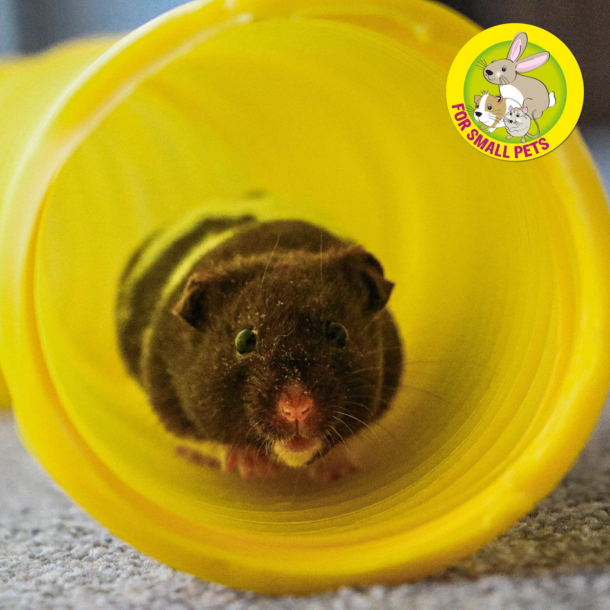 Ancol Pet Products Ltd - Wholesale Pet Toy - Not Cat/Dog - Tuff Tube for Small Pets4