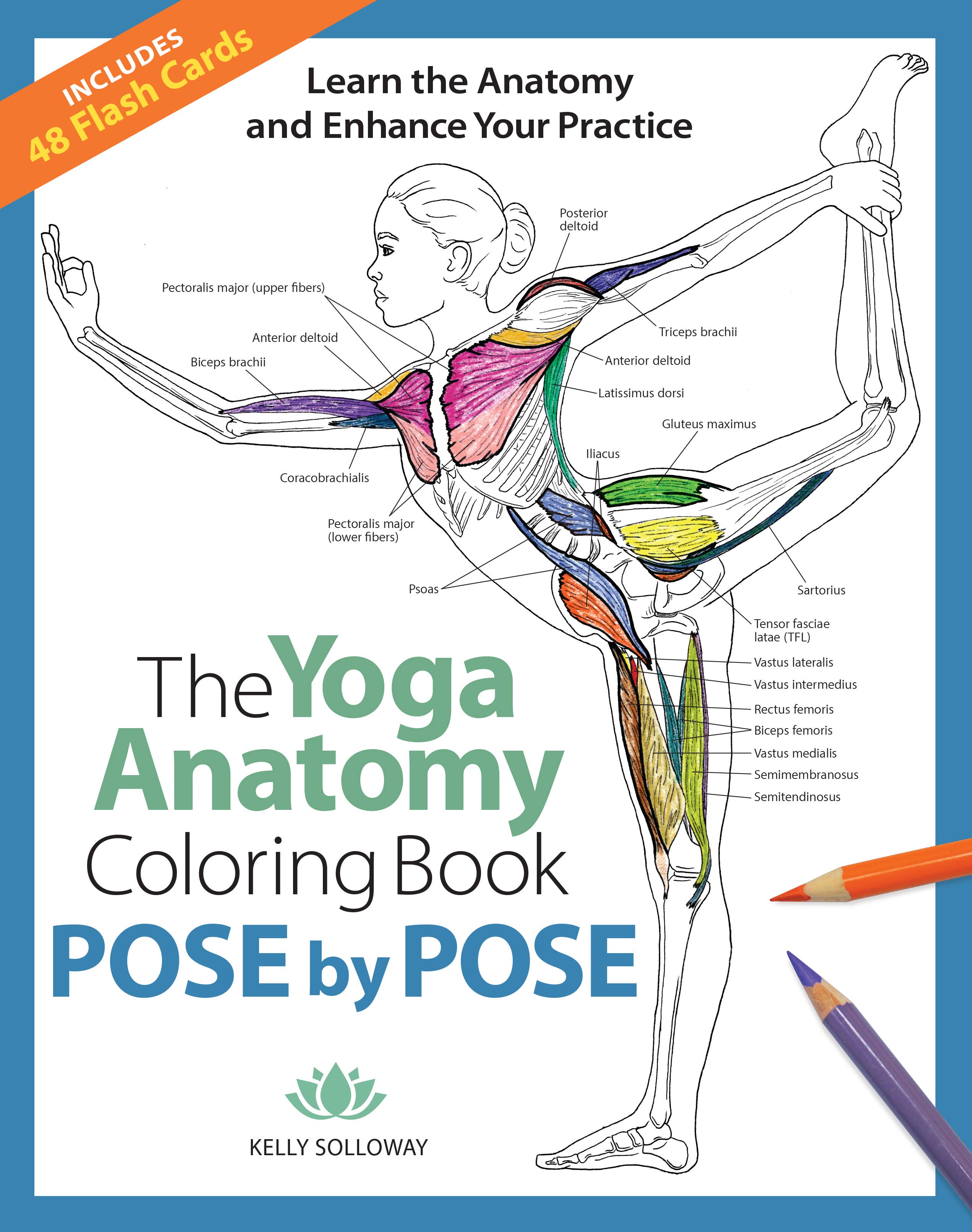 Mixed Media Resources LLC - Wholesale Coloring & Activity Book - Adult - The Yoga Anatomy Coloring Book: Pose by Pose0
