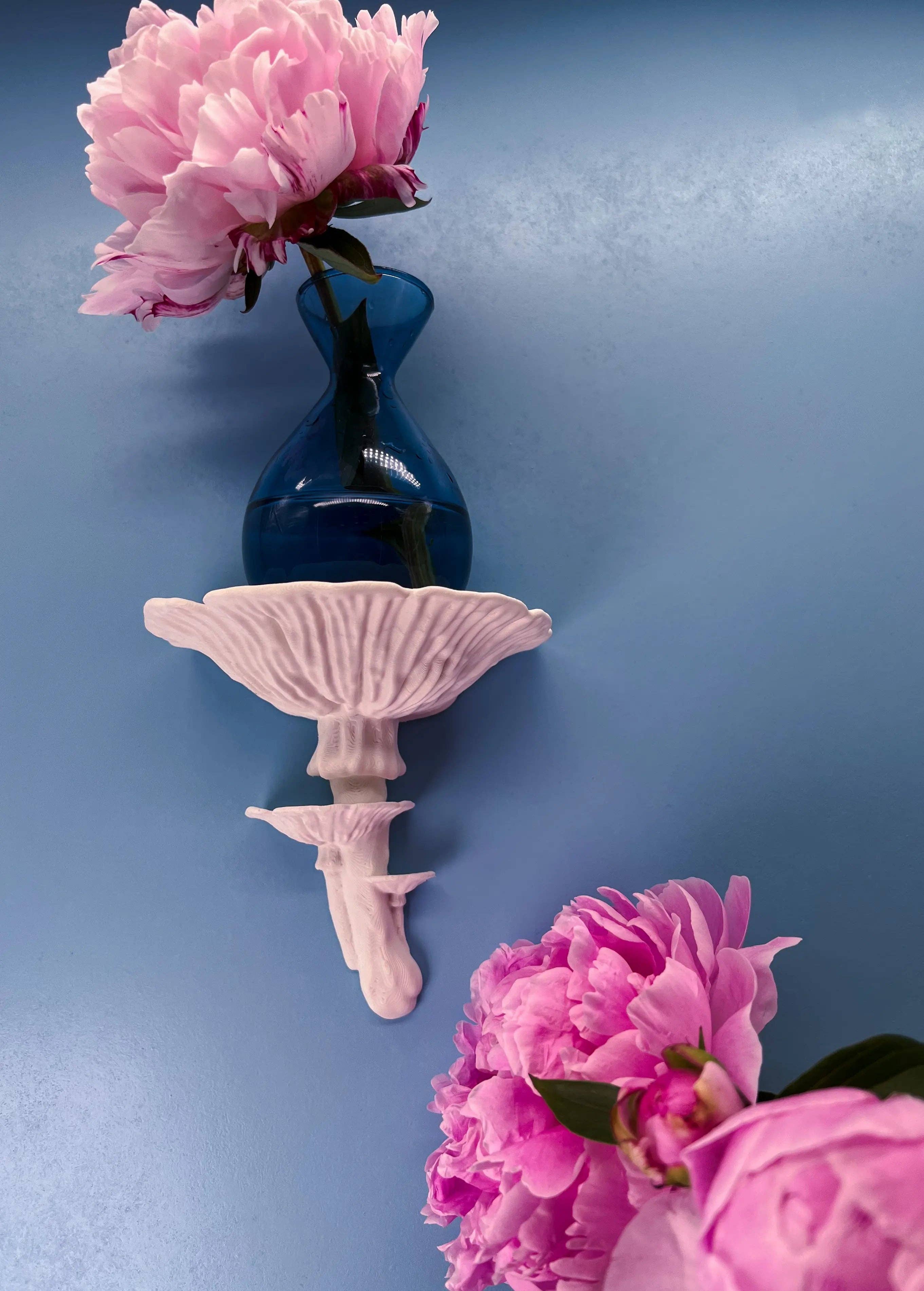 Roomberry - Wholesale Wall Mounted Shelf - Amanita Mushroom Wall Shelf – Floating Shelf for Stylish Decor0