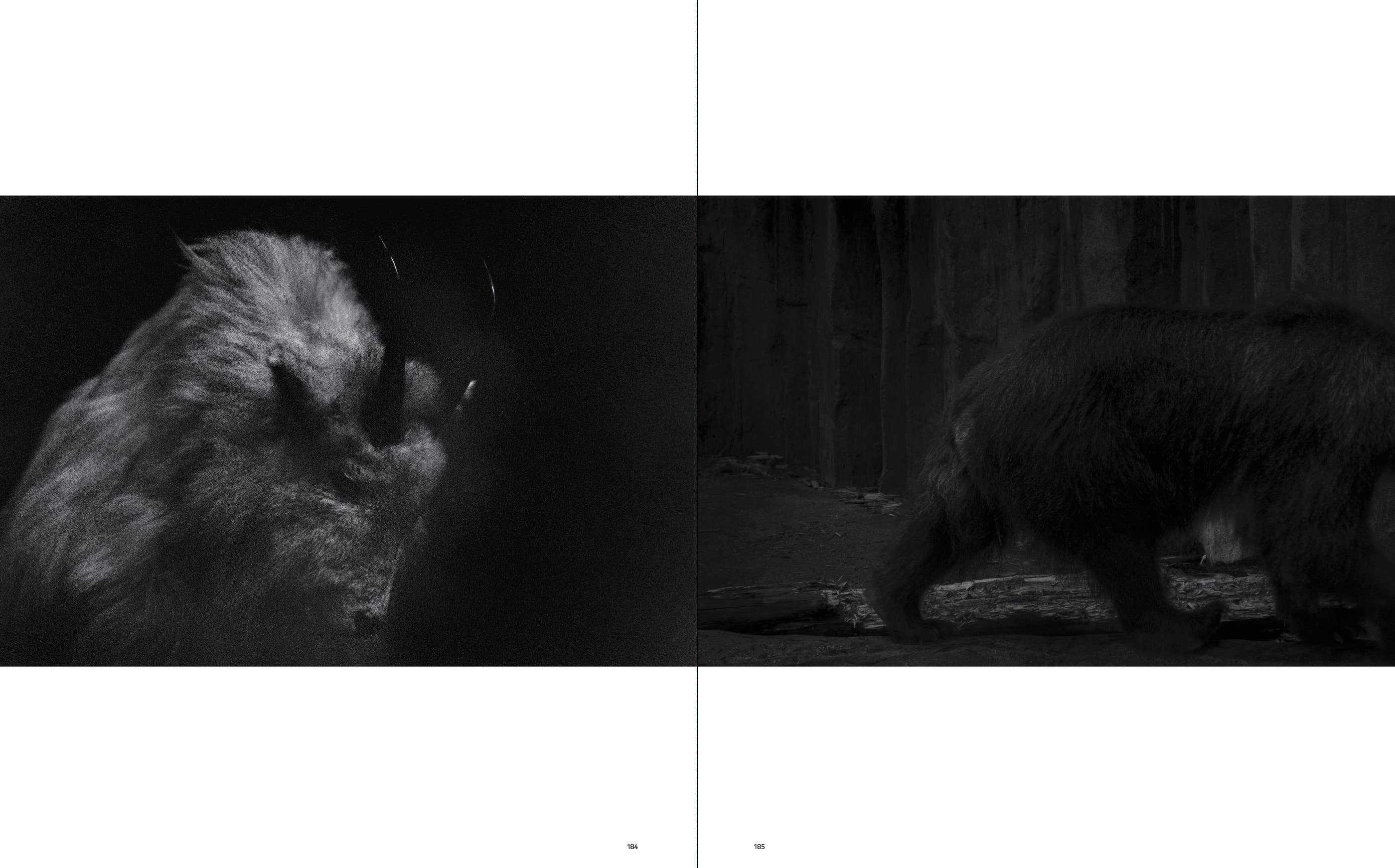 Penguin Random House LLC - Wholesale Display Book - Sakiko Nomura13