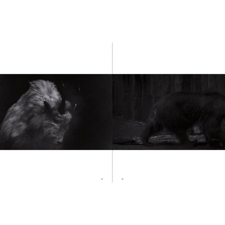 Penguin Random House LLC - Wholesale Display Book - Sakiko Nomura13