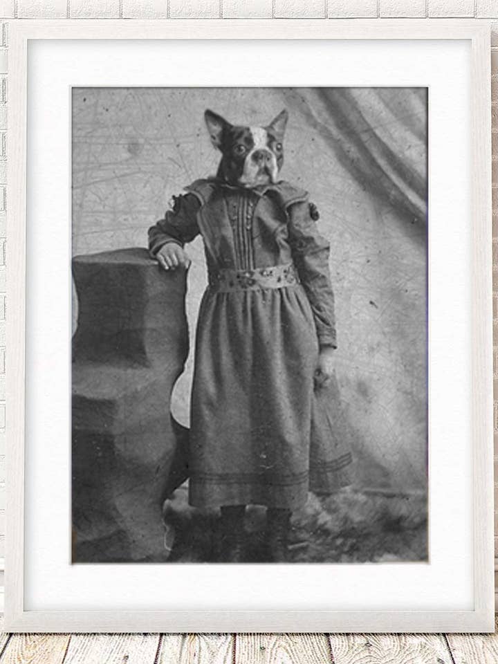 5" x 7" Boston Print, Terrier Antique Vintage Unique Awesome for wholesale by The Wild Oddisorium
