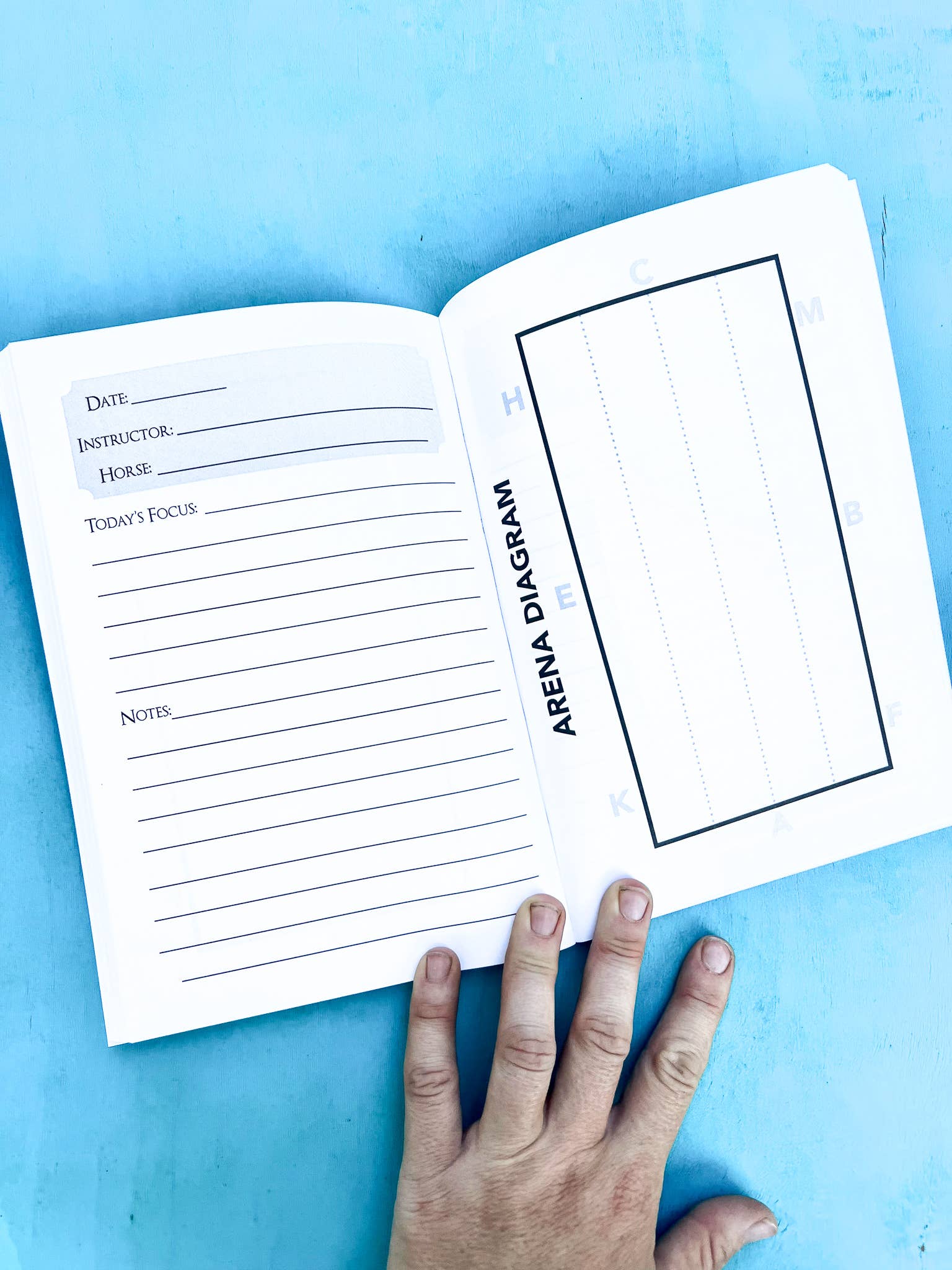 Circus Unicorn Shop - Vendita all'ingrosso Diari/agende - Il diario delle lezioni di equitazione2