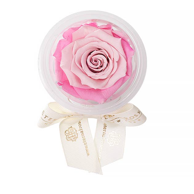 Eternal Roses® - Wholesale Party Favor - Eternal Rose Party Favors13
