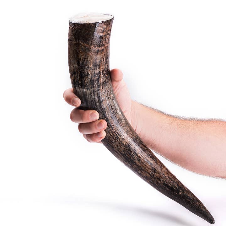 Norse Tradesman - Wholesale Drinking Glass/Cup - Viking Drinking Horn with Stand23