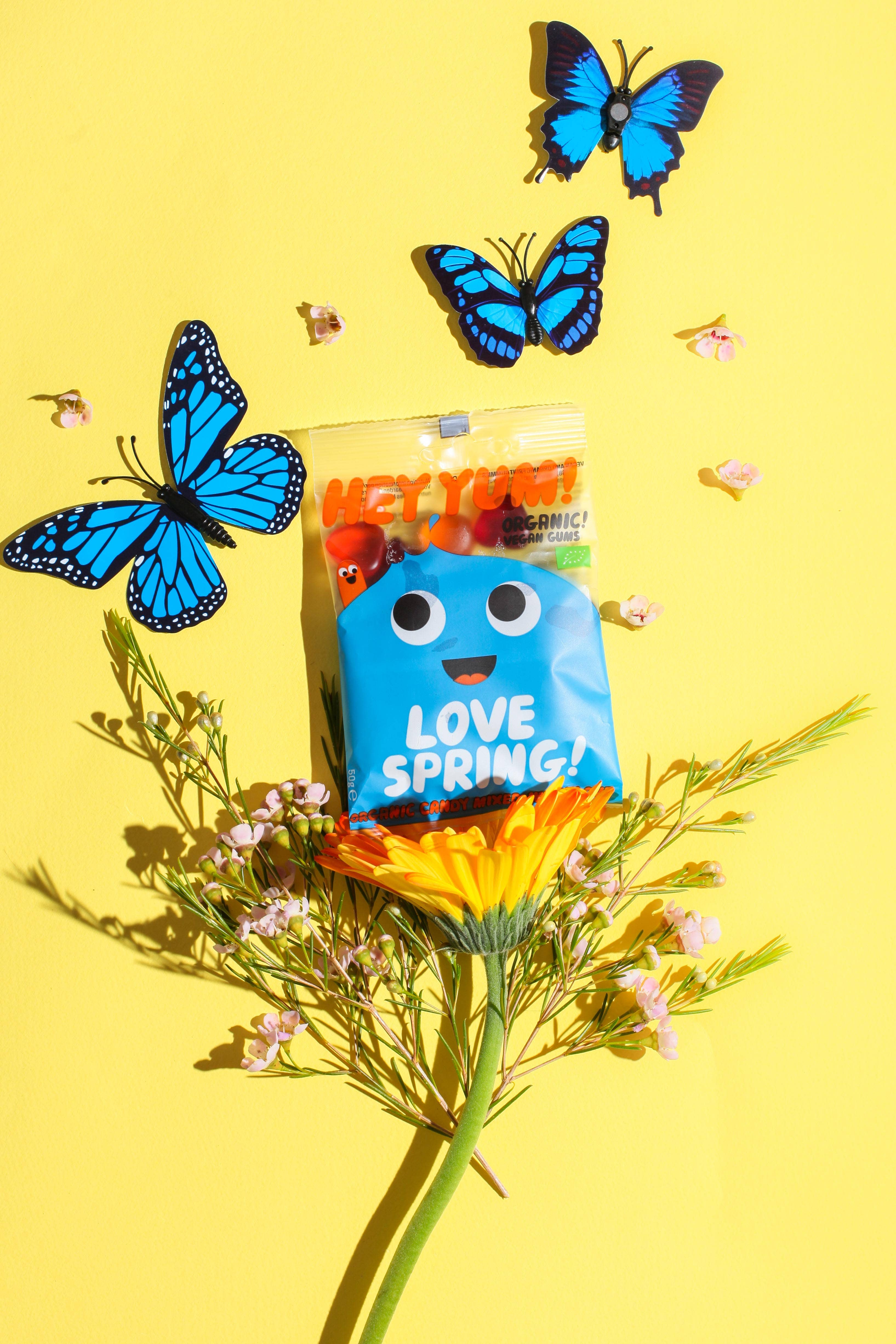 HEY YUM! - Wholesale Gummy - HEY YUM! Love Spring, Vegan Organic Fruit Gums,100g1