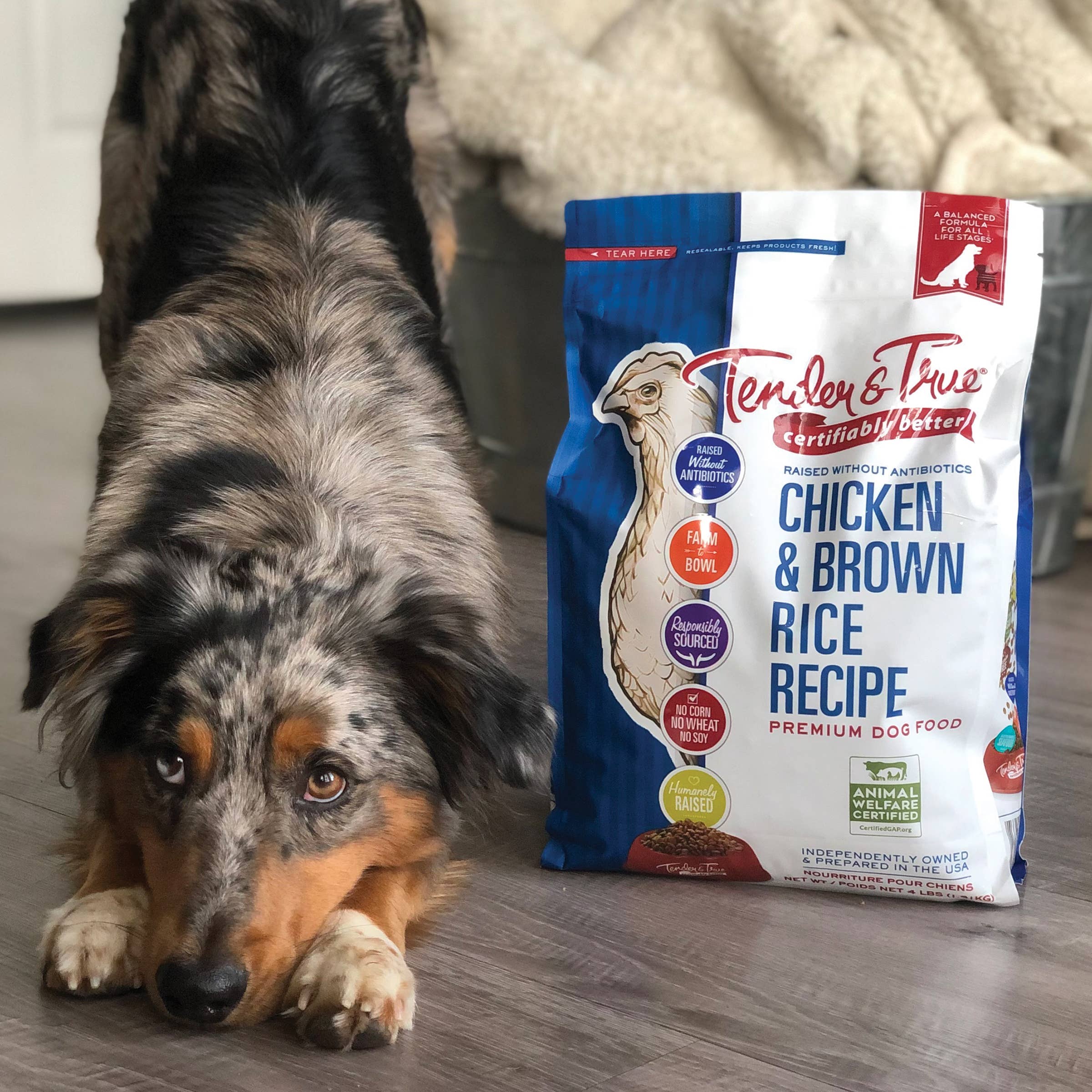 Tender & True Pet Nutrition - Vente Nourriture – chien - Recette de poulet et riz brun Nourriture sèche pour chien, sacs M/L5
